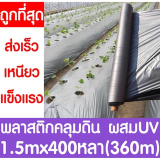 พลาสติกคลุมดิน 1.5ม.x400หลา(360ม) พลาสติกคลุมแปลง พลาสติกดำ/เงิน พลาสติกกันวัชพืช กันวัชพืช ปลูกผัก ปลูกผลไม้(ไม่เจาะรู)