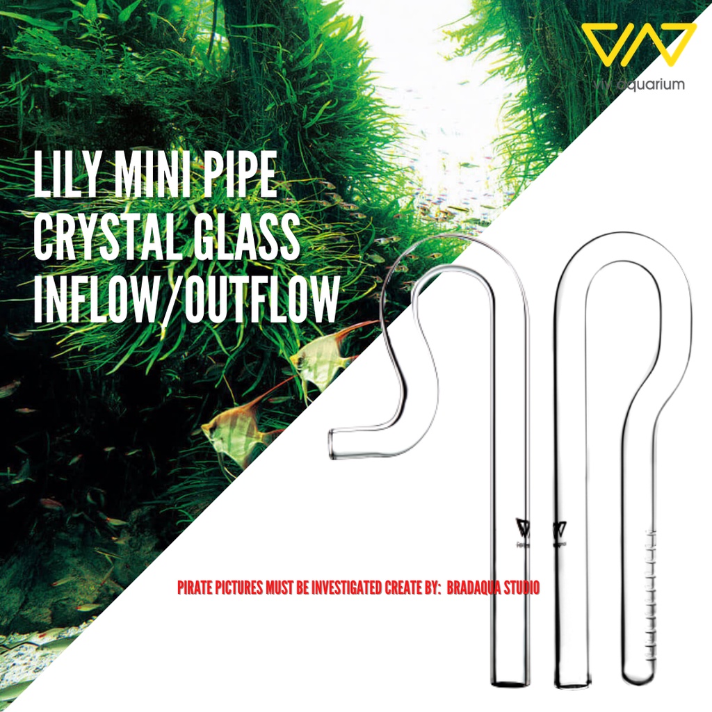 VIV Crystal Glass Mini Lily Pipe Outflow & Inflow 10mm/ 13mm