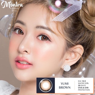 คอนแทคเลนส์🌈Yumi🌈 Brown/Gray (Montra) ขนาดบิ๊กอาย💖