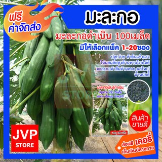 **ส่งฟรี**มะละกอดำเนิน 100เมล็ด มีให้เลือกแพ็ค 1-20ซอง (Papaya seeds) ปลูกง่าย ลำต้นแข็งแรง ให้ผลผลิตสูง ต้านทานโรคได้ดี