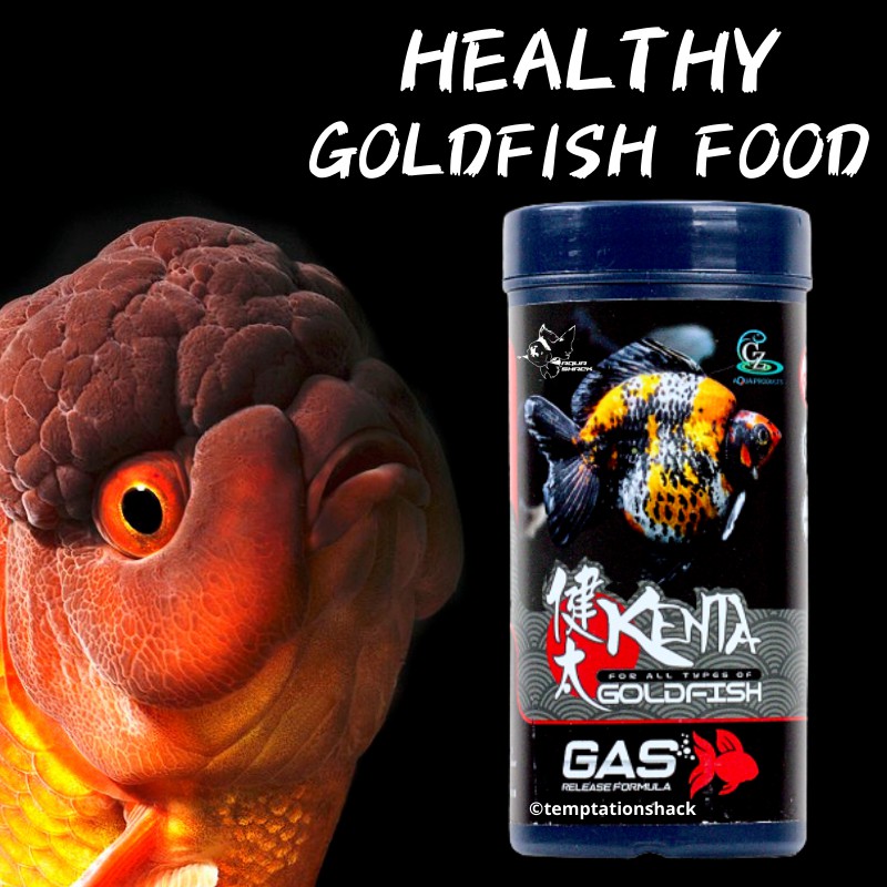 HEALTHY อาหารปลาทอง - Makan SIHAT Ikan Emas - CZ Aqua Kenta อาหารปลาปลาทอง - 150 กรัม