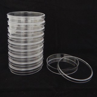 จานเพาะเชื้อพลาสติก ขนาด 60 x 15 mm (10 ชิ้น/ชุด)  (Petri Dish : PS 10 pcs)