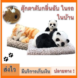 ตุ๊กตาดับกลิ่น ตุ๊กตาดูดกลิ่น ในรถ ในบ้าน พร้อมส่ง