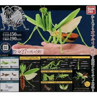 (เพิ่มขาวใสพร้อมส่ง) Gashapon กาชาปองตั๊กแตน Bandai Kamakiri Mantis Vol.01 โมเดลสัตว์