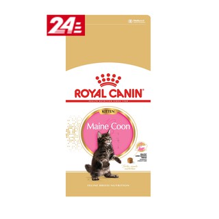 แบ่งขาย Royal Canin Maine coon kitten 1 กิโลกรัม แมว เมนคูน เด็ก