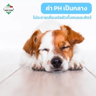 MostClean น้ำยาถูบ้าน BUBBLE 3800 ml ทำความสะอาดได้อเนกประสงค์ ไม่มีกลิ่น ลดภูมิแพ้ PH เป็นกลาง