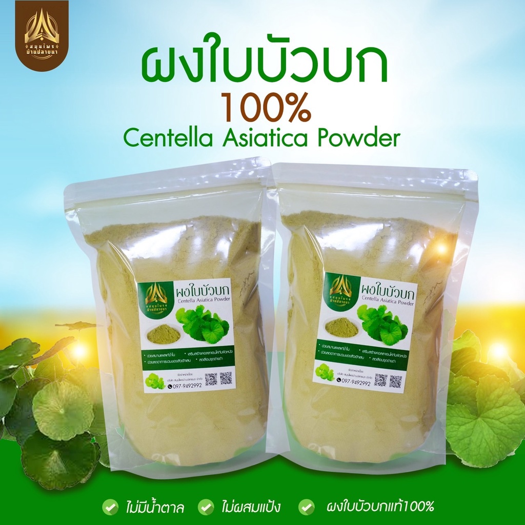 ผงใบบัวบก แท้ 100% ขนาด 500กรัม/1kg. ผงใบบัวบก ใบบัวบก (Centella Asiatica Powder)