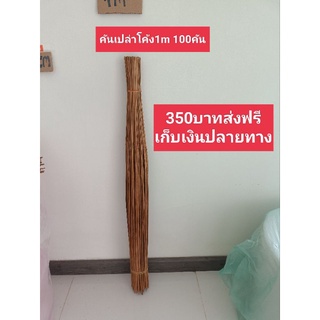 คันเปล่าโค้ง 120cm 100คัน