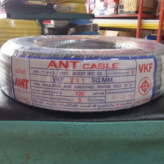 ANT CABLE ยาว 100 เมตร