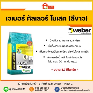 Weber กาวยาแนว เวเบอร์คัลเลอร์ โมเสค ขนาด 3 กก. สีขาว