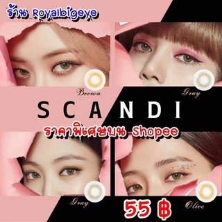 คอนแทคเลนส์ Scandi Gray , Brown , Olive - Gaezz Secret ขนาดมินิ มีสายตาถึง -10.00