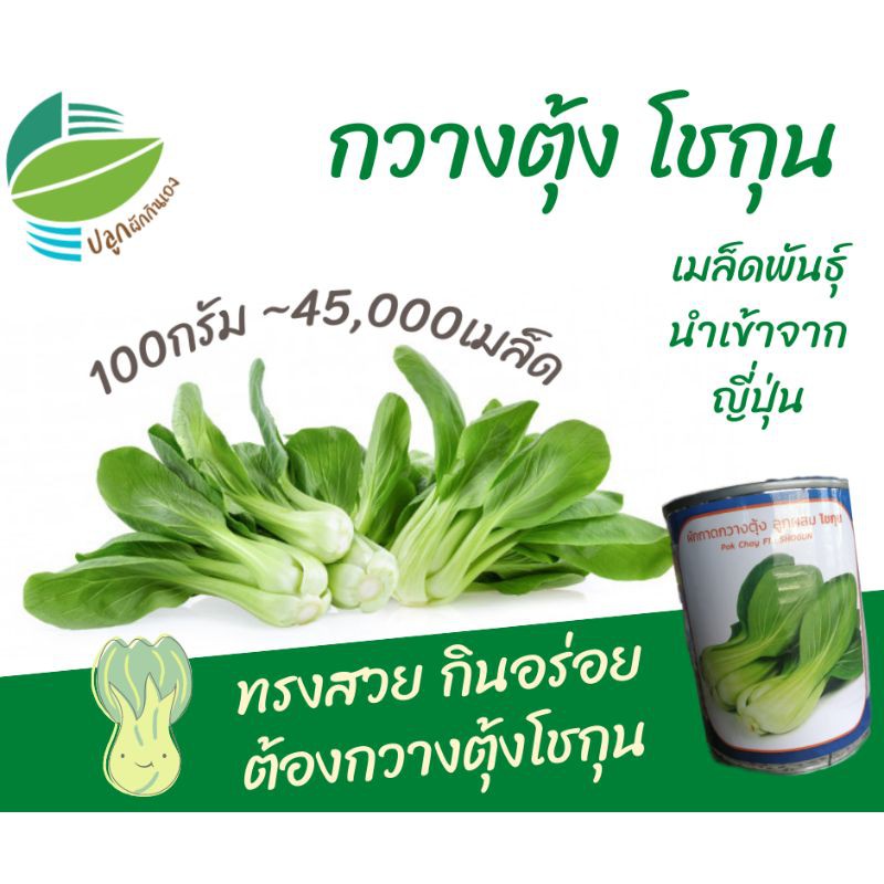 กวางตุ้งฮ่องเต้ 45,000 เมล็ด (100กรัม) Pak Choy F1 : Shogun โชกุน