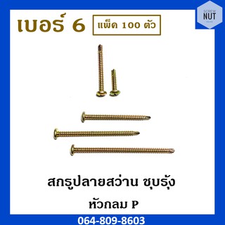 สกรูปลายสว่าน ชุบรุ้งหัวกลม P เบอร์ 6 (แพ็ค 100 ตัว)