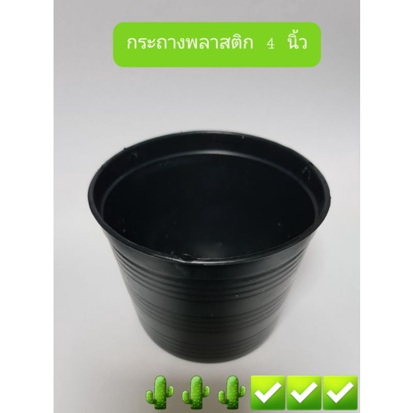 กระถางพลาสติกกลม 4 นิ้ว(แพคละ 10 ใบ) ✅✅✅🌵🌵🌵(แพคละ10 ใบ 40บาท)