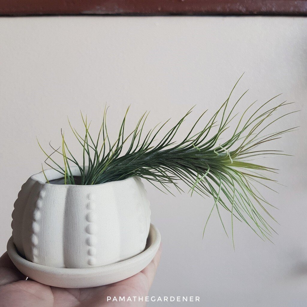 มุมมอง 5