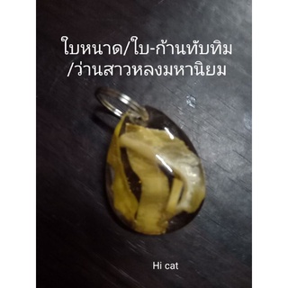 จี้ใบหนาด/ใบ-ก้านทับทิม/ว่านสาวหลงมหาเสน่ห์ พกติดตัวไปงานศพ ป่าช้า หรือติดต่อทำธุรกิจได้