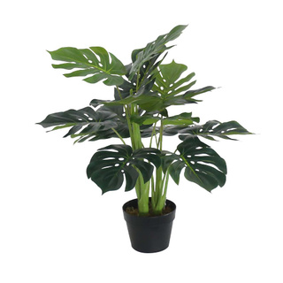 ✨ขายดี✨ ต้นพลูฉีกประดิษฐ์  75 ซม. ARTIFICIAL MONSTERA SPING 75CM สินค้าคุณภาพสูง