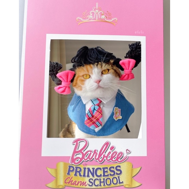 ชุดนักเรียนบาร์บี้ Barbie Charmschool Purrpet