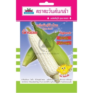 เมล็ดพันธุ์ ข้าวโพด บิ๊กบอม 15 กรัม/ซอง ตราตะวันต้นกล้า