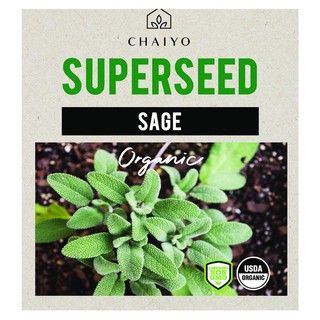 เมล็ดพันธุ์เสจ ชัยโย 10 เมล็ด SAGE (ORGANIC) 10 SEEDS