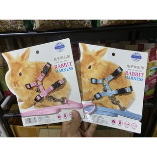 สายจูง สำหรับกระต่าย