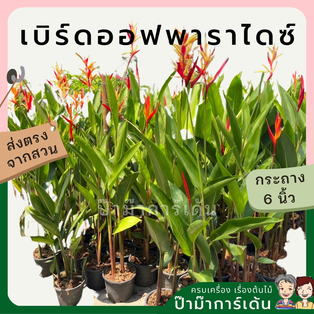 มุมมอง 2