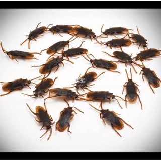 แมลงสาบปลอม ของเล่น เหมือนจริงที่สุด แกล้งคน เล่นกับแมว โมเดลสัตว์ Cockroach