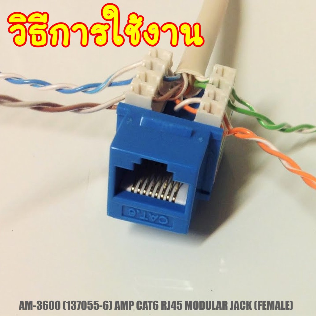 เต้ารับหัวแลนตัวเมียAmp Cat6 Rj45 Modular Jack (ตัวเมีย) 1ชิ้นรหัสNt383-4 |  Shopee Thailand