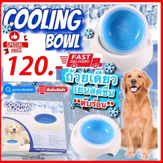 📍ชามเจล ชามใส่น้ำ เจลเย็น ดับร้อน cooling bowl ถ้วยน้ำเจลเย็น สำหรับสัตว์เลี้ยง📍เก็บน้ำให้สดและเย็นนาน 4-8 ชั่วโมง