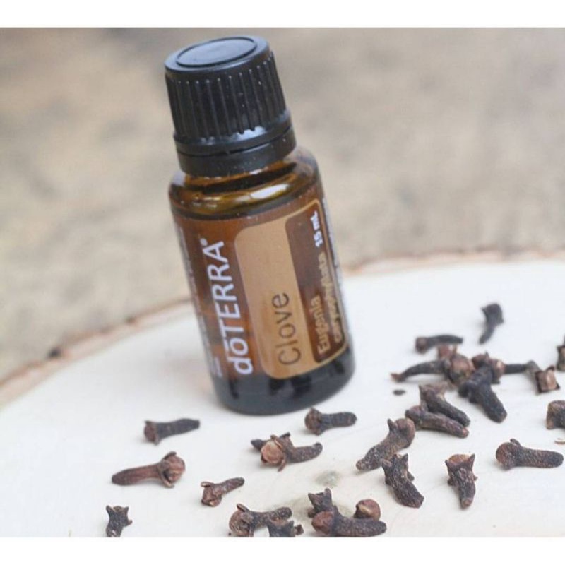 Dottera Clove oil 15ml