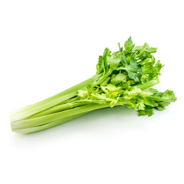 เมล็ดเซเลอรี่ 100 เมล็ด   ซื้อ 10 แถม 2 คละได้   เลือกของแถมได้ คิดถึงเมล็ดผัก คิดถึง skinsun ราคา ถูกที่สุด ดีลบีเคเค แกลเลอรีภาพที่ 3