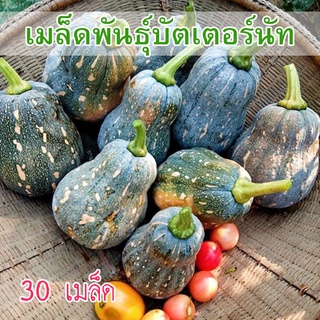 เมล็ดพันธุ์ ฟักทอง บัตเตอร์นัท 30 เมล็ด [มีคู่มือปลูก]