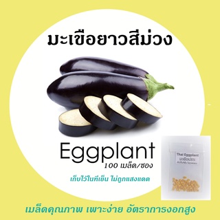 เมล็ดมะเขือยาวม่วง 10 บาท 50-60 เมล็ด เพาะง่าย อัตราการงอกสูง  (ผัก ผักสวนครัว เมล็ดผัก เมล็ดพันธุ์ผัก ผักอินทรีย์  )