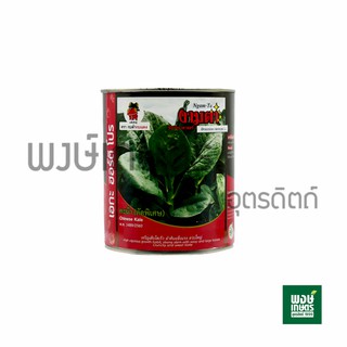 เมล็ดพันธุ์ผักคะน้า(คัดพิเศษ)งามตา 500g. เมล็ดพันธุ์ผัก เมล็ดพันธุ์พืชคุณภาพ ผักสวนครัว ผักอินทรีย์ สินค้าเกษตรราคาถูก