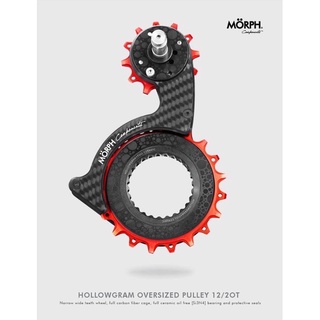 Over Size Pulley MORPH HALLOWGRAM