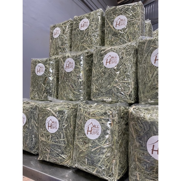 หญ้าทิมโมธี 1st.Premium Horseร่อนฝุ่น1kg.