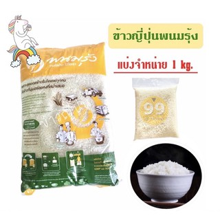 ข้าวญี่ปุ่นแท้พนมรุ้ง คุณภาพดี แบ่งจำหน่าย 1kg. ข้าวซูชิ ข้าวปั้น