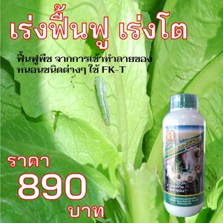 กำจัดหนอน ผักสลัด หนอนศัตรูพืชทุกชนิด ปลอดสารพิษ ไอกี้และ FK-T(ใช้ได้ทุกพืช)โดย FK