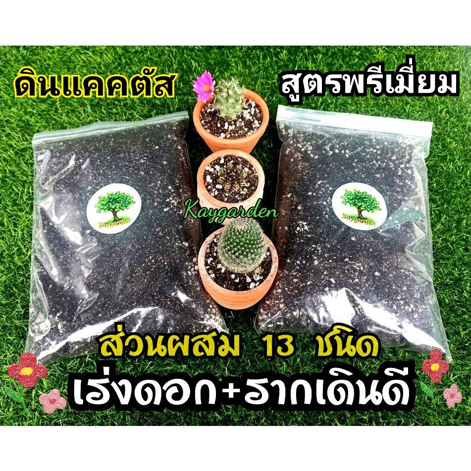 ดินปลูกแคคตัส สูตรพรีเมี่ยม พร้อมใช้ สารอาหารครบ 13 ชนิดที่จำเป็นต่อต้นไม้ สูตรเฉพาะจากประสบการณ์โดยตรง ใช้ดีบอกต่อ