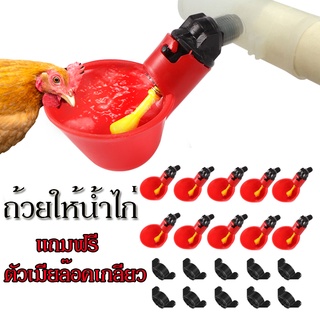 ถูก💥ถ้วยให้น้ำไก่อัตโนมัติ นิปเปิ้ลให้น้ำไก่ แถมฟรีตัวเมียล๊อคเกลียว ถอดล้างได้