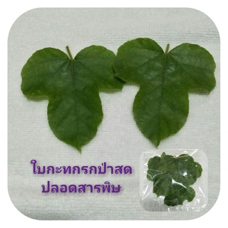 ใบกะทกรกป่าสดปลอดสารพิษ🍀🍀200กรัม🍀ต้มกินน้ำแก้อาการนอนไม่หลับ,คลายเครียด🍀🍀