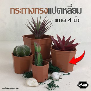 ขั้นต่ำ 10 ใบ Okay plas กระถางแปดเหลี่ยม  4 นิ้ว