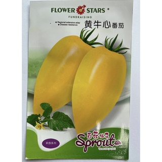 เมล็ดพันธุ์ มะเขือเทศ กล้วย สีเหลือง ( Yellow Banana Tomato Seed ) บรรจุ 30 เมล็ด