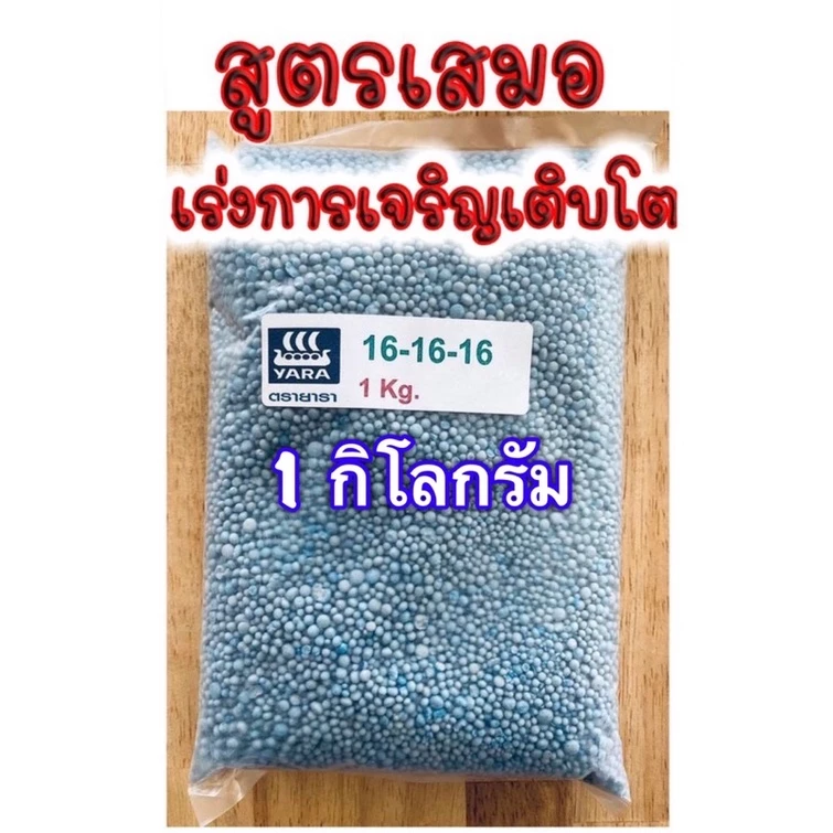 ปุ๋ยเคมี 46-0-0 / 15-15-15 / 16-16-16 / 0-0-60 / 8-24-24 / 13-13-21 / 18-46-0 / 21-0-0 ของเเท้คุณภาพดี thumbnail 3