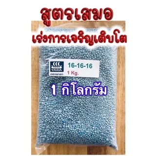 ปุ๋ย สูตร 16-16-16 เร่งต้น เร่งดอก เร่งผล