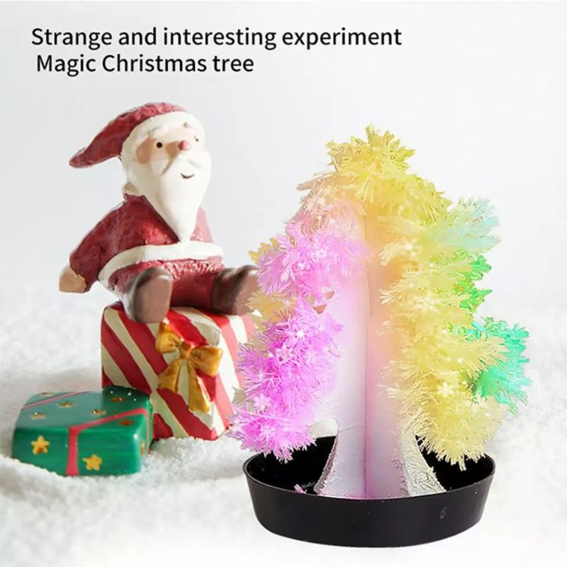 🏅Kids learning🏅DIY STEM Crystal Growing ของเล่นวิทยาศาสตร์ ทำคริสตัล ทำต้นไม้ ของเล่นแนวสาธิต