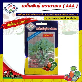 AAA 🇹🇭 ผักซอง  A024#ผักโขม ต้นขาว เมล็ดพันธุ์  เมล็ดพันธุ์ผัก เมล็ดพันธุ์ ผักสวนครัว ตราAAA สามเอ