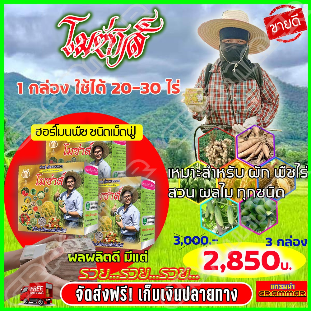 โมซ่าส์ MOZA ปุ๋ยโมซ่าส์ ( 3 กล่อง ) โมซ่า ปุ๋ยฮอร์โมน กรดอะมิโนสูง อาหารเสริมสำ