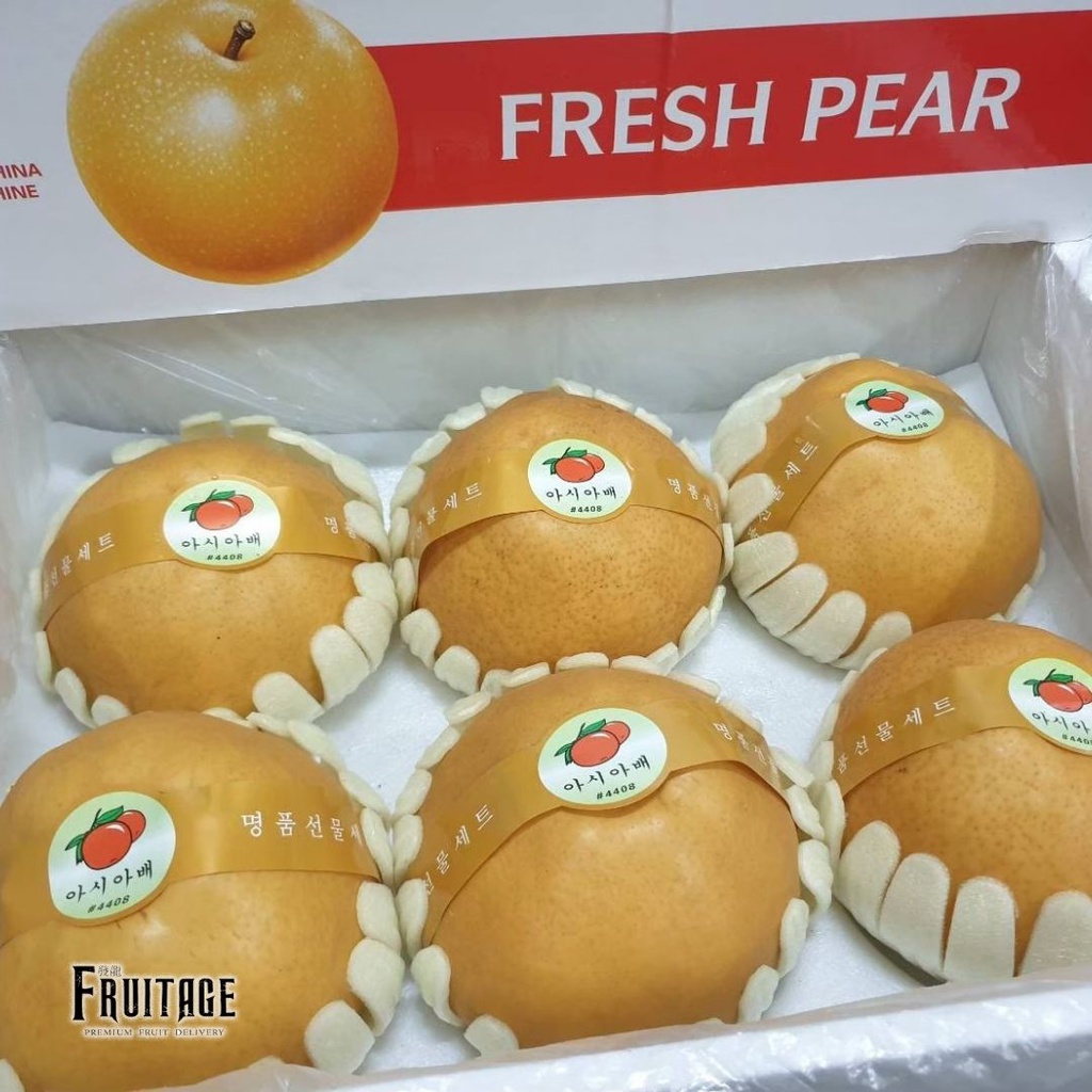สาลี่หิมะ สาลี่เกาหลี (ยกลัง6-7ลูก) (CHN) Premium Korean Pears หอมหวาน อร่อยผลไม้ต่างประเทศ ผลไม้นำเ