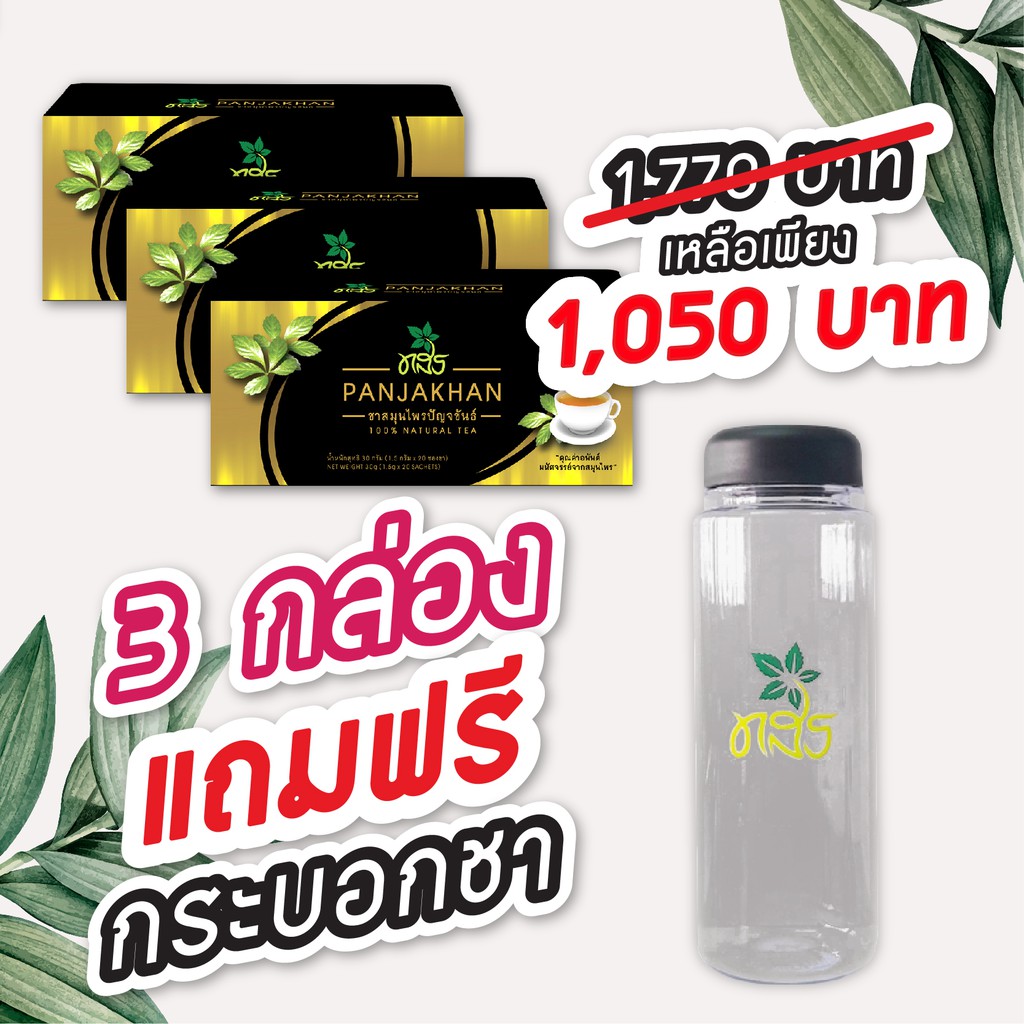 ชาทสร >> ชุดขายดี 3 กล่อง + แถมกระบอกชา น้ำตาลในเลือด เบาหวาน ความดันส ไขมันในเลือด